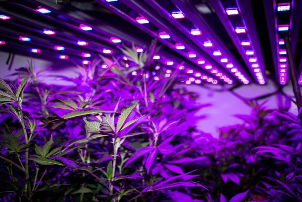 Ультрафиолет 4к