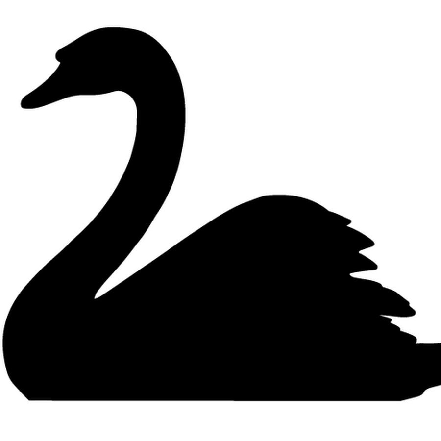 Лебеди (птицы)