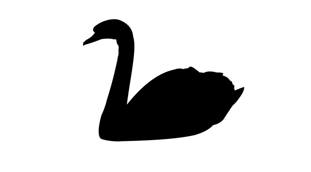 Сибелиус и лебеди