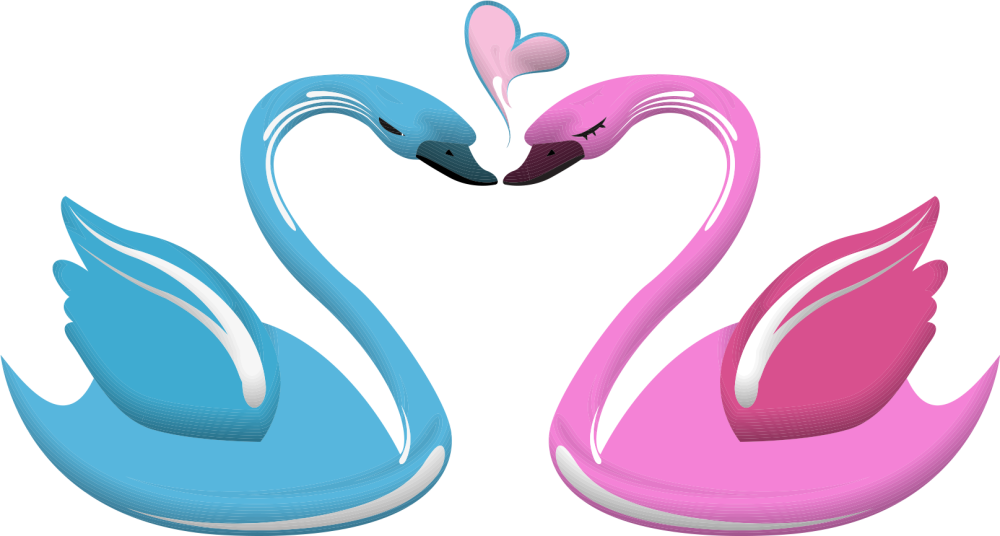 Белый лебедь контур