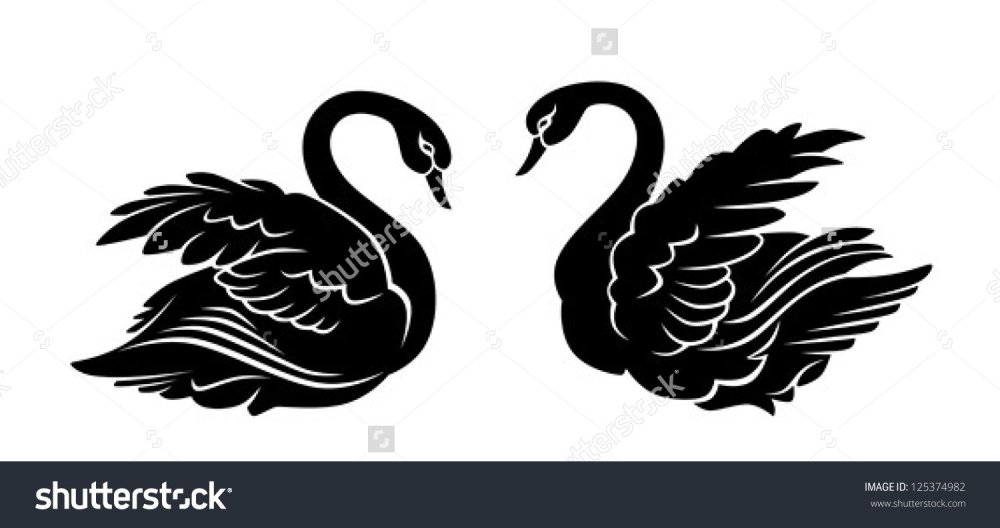 Лебедь на черном фоне