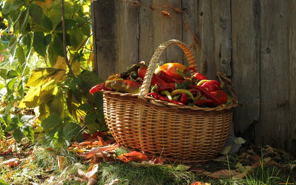 Корзина овощей сверху