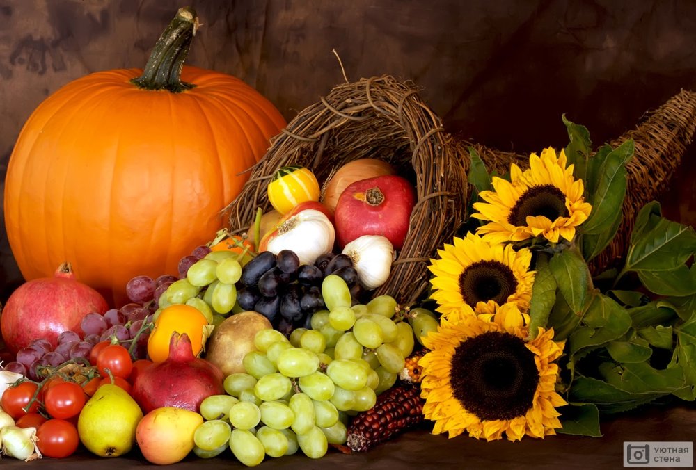 Корзина с фруктами на белом фоне