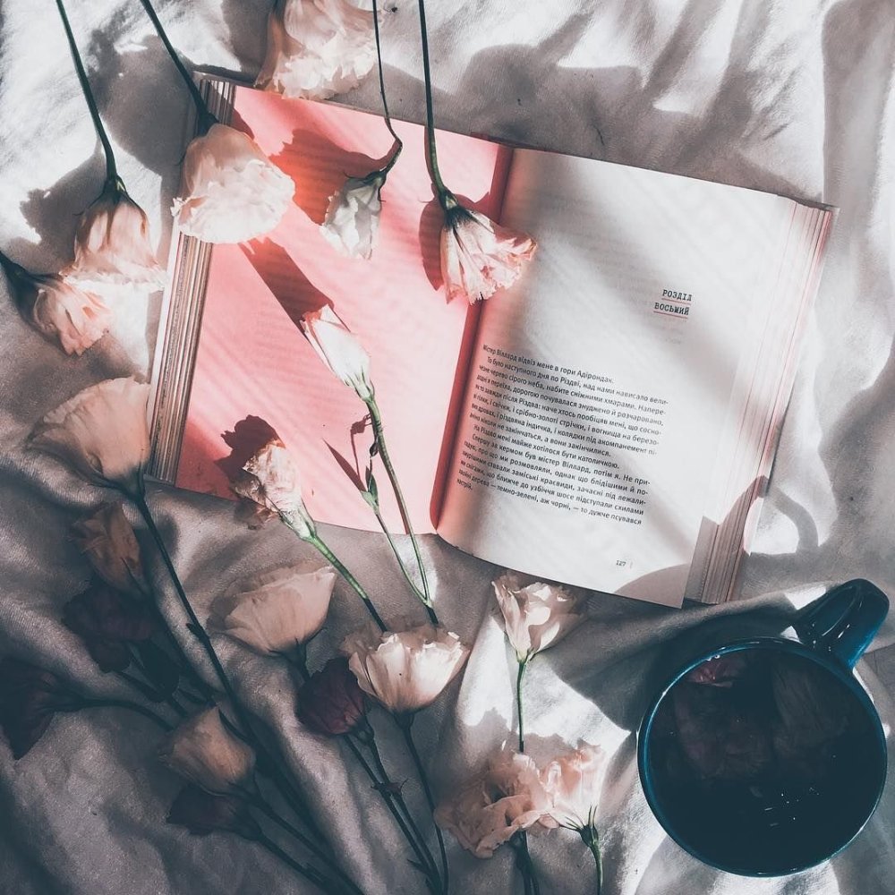 Пейтон Эстетика