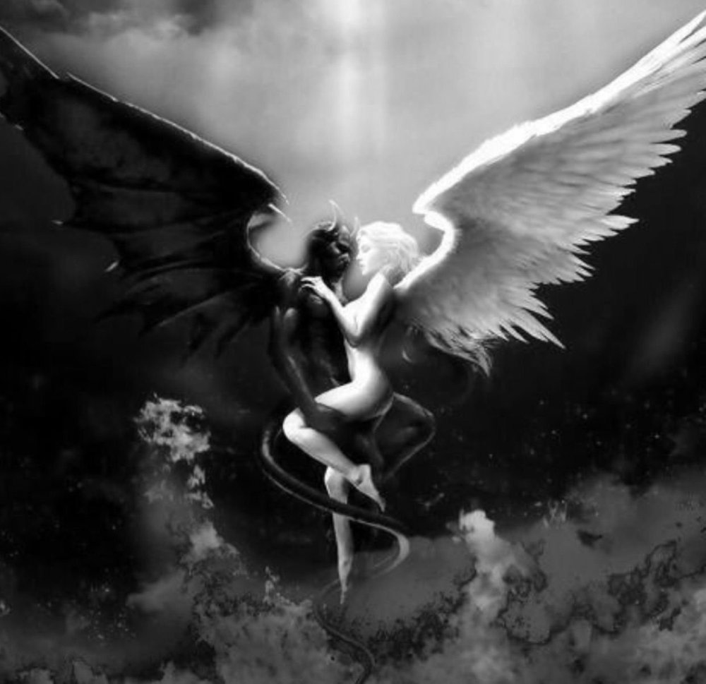 Черное и белое крыло