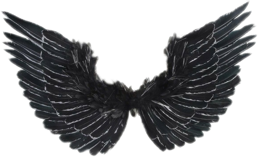 Девушка ангел на прозрачном фоне