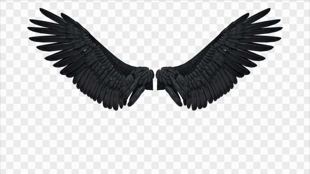 Красивые девушки с крыльями