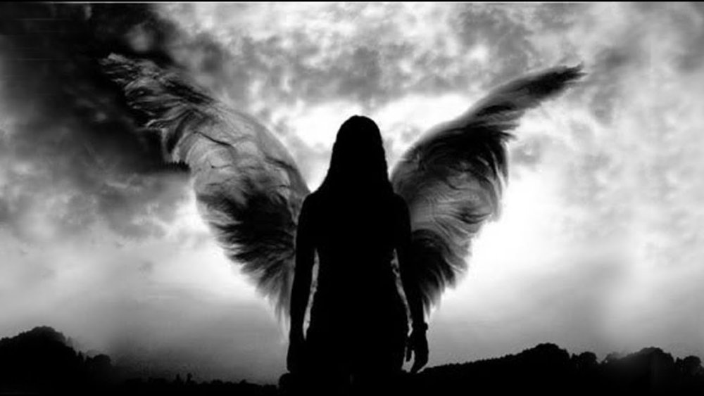 Девушка с крыльями черно белое