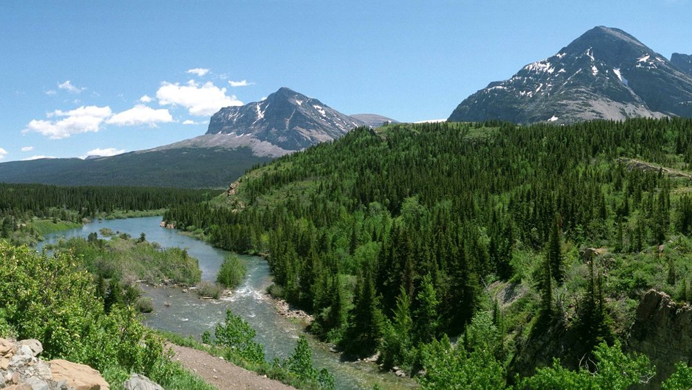 Уральские горы Тайга