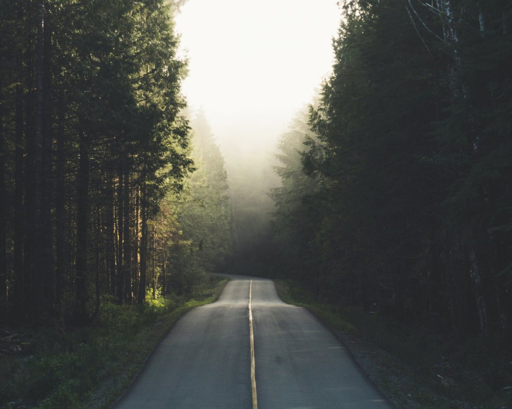 Дождливая осень