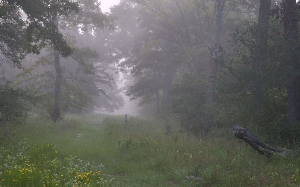 Форкс Сумерки