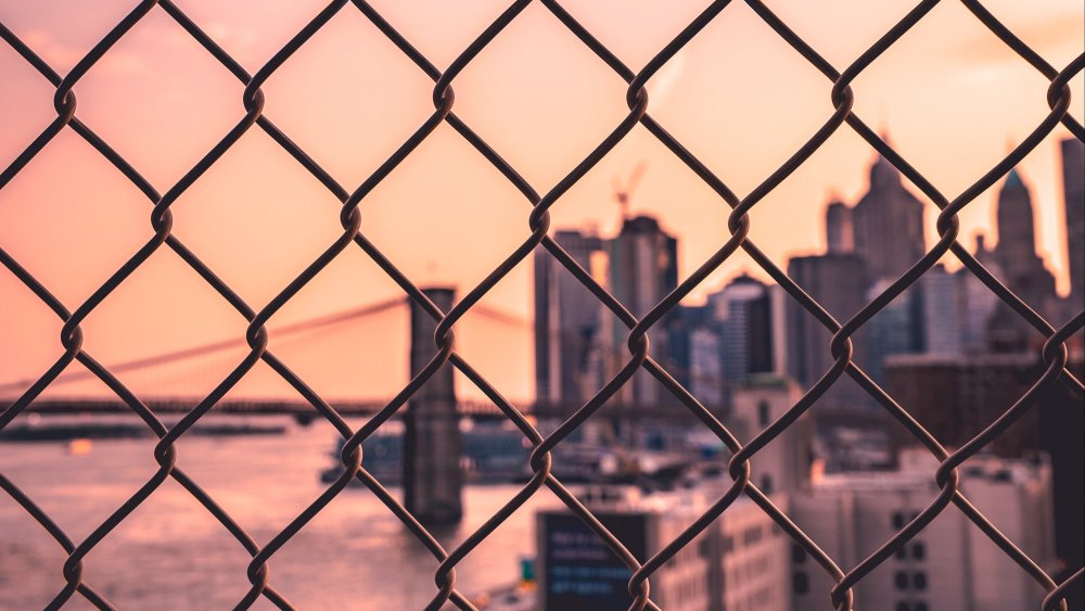 Сетка для забора