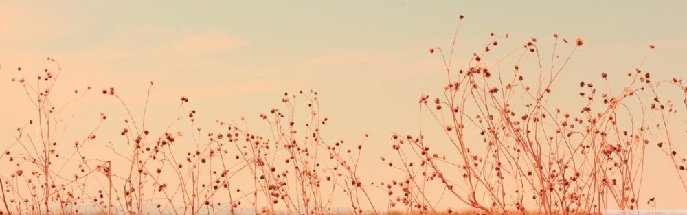 Шапка для твиттера