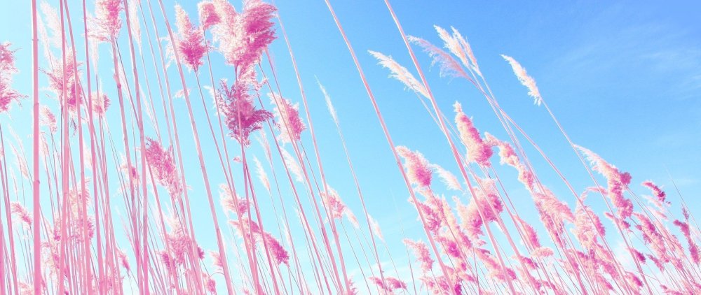 Обои Эстетика бежевый