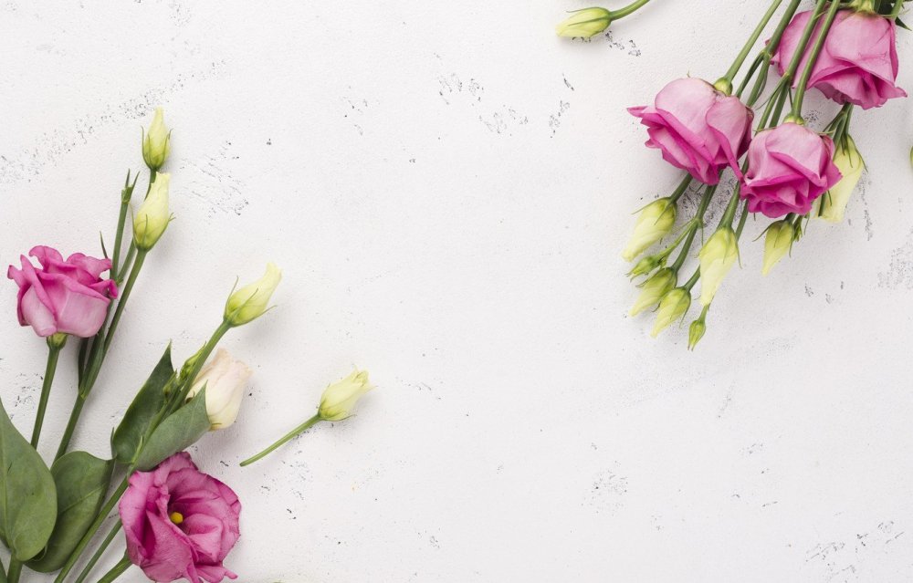 Фотообои эустома