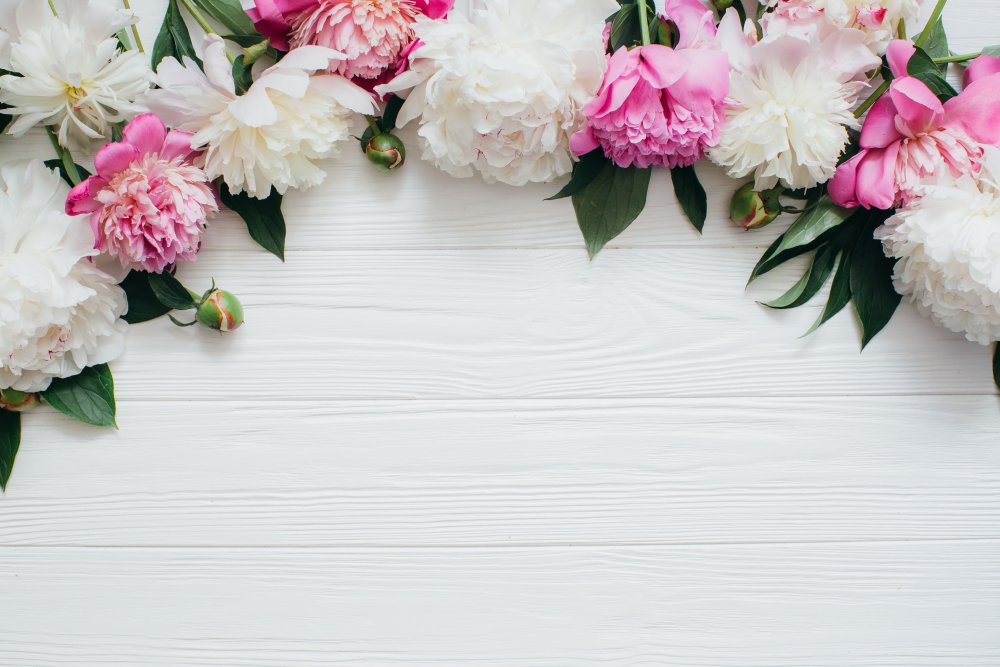 Баннер цветы