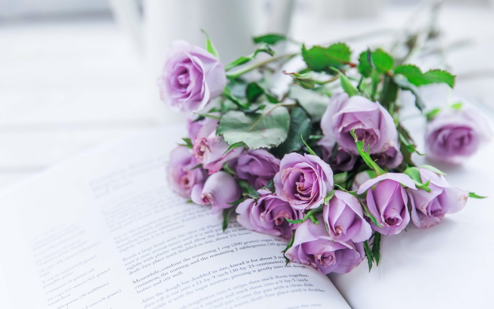 Фиолетовые розы