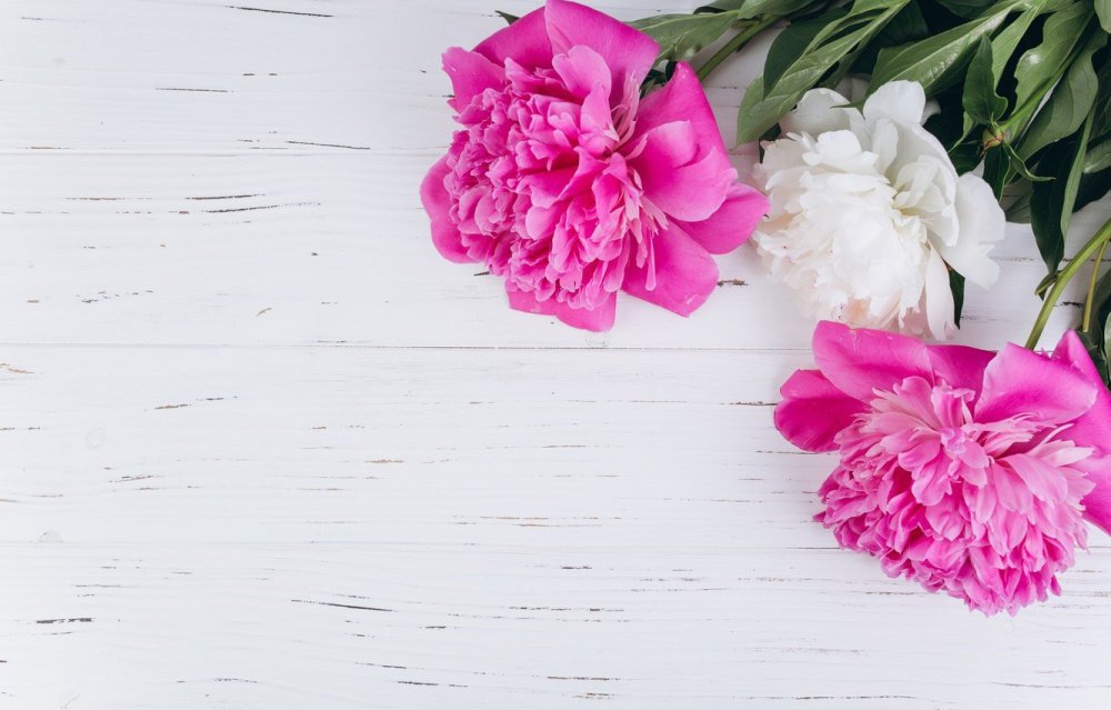 Фон для инстаграма