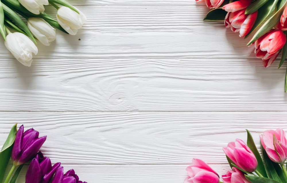 Тюльпаны фон