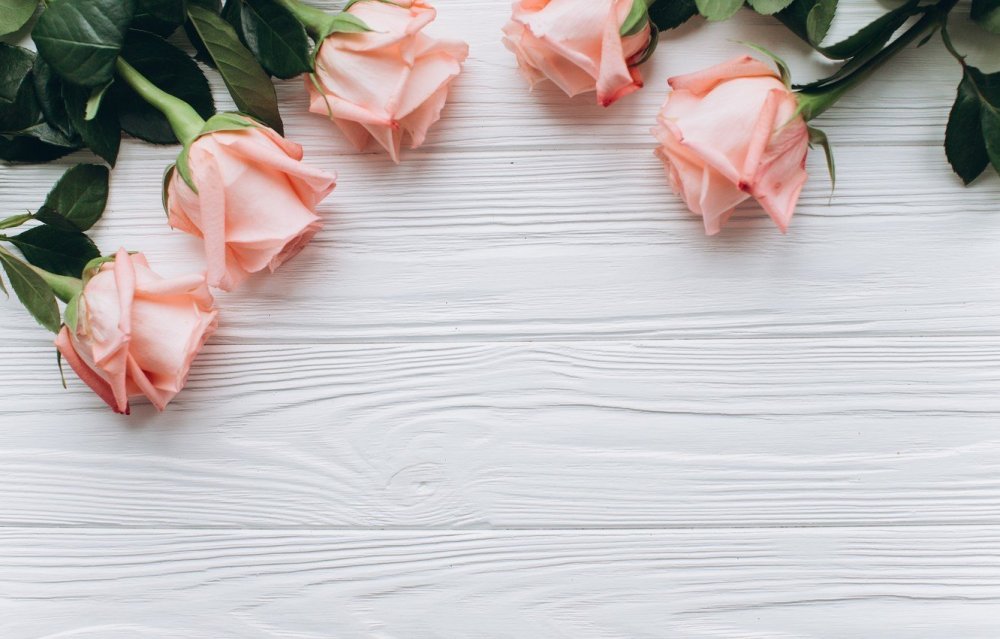 Эустомы фон