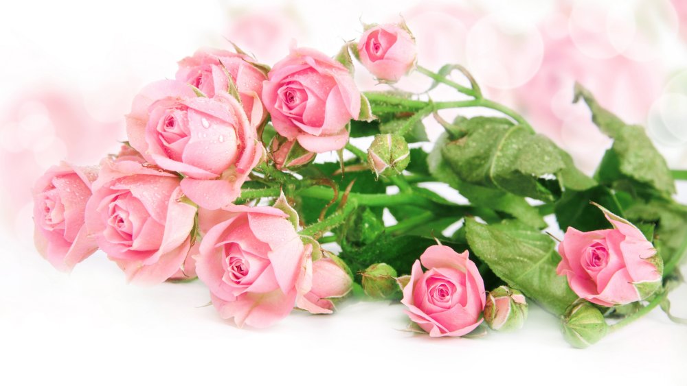 Пионы на деревянном фоне