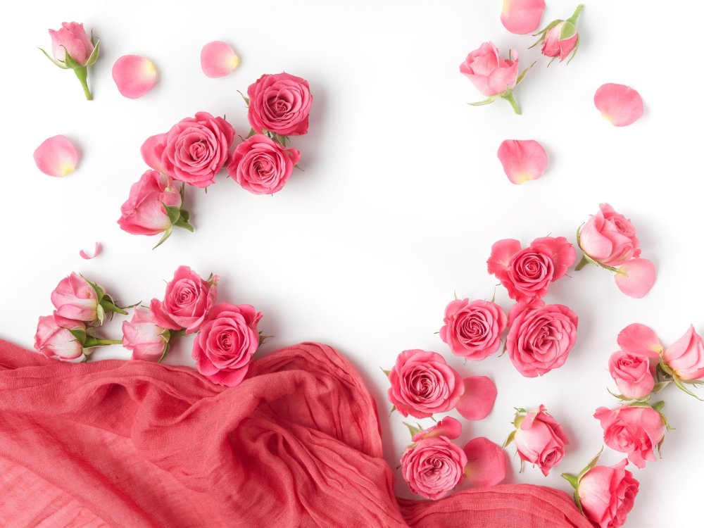 Фон розы нежные