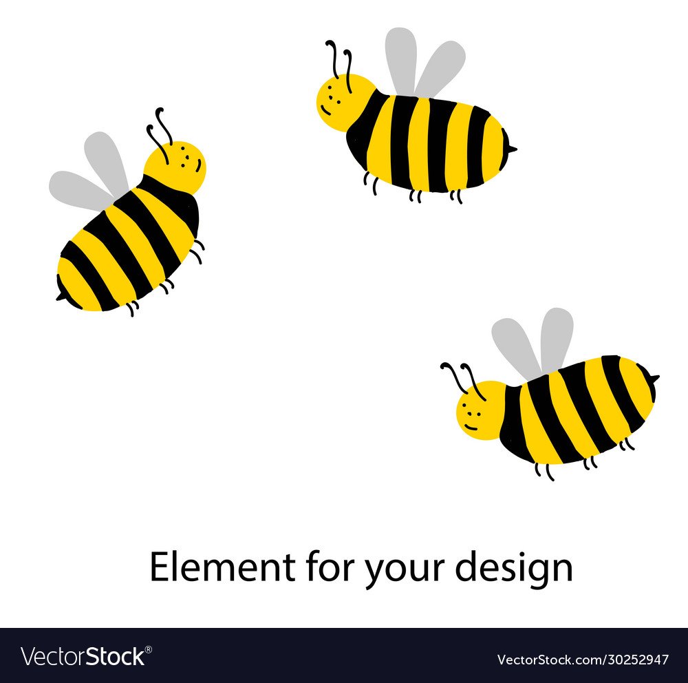 Трутень осы