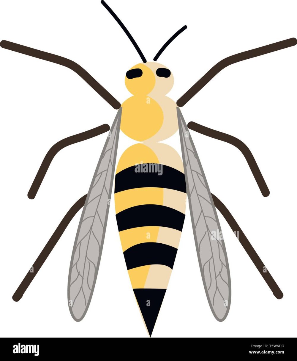 Желтые насекомые красивые