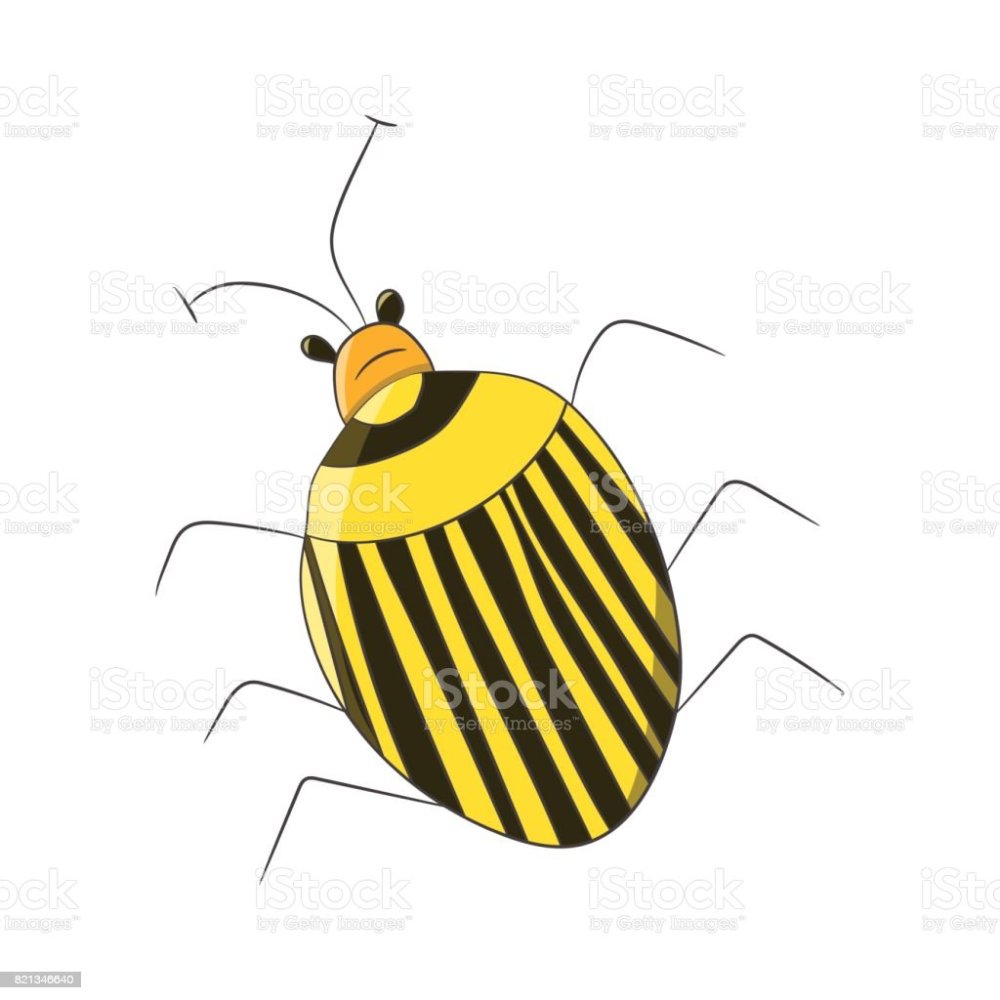 Черная гусеница с желтыми полосками