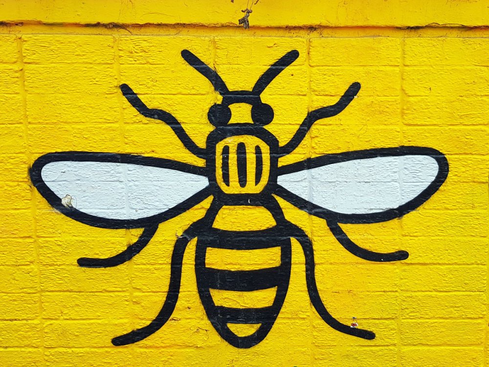 Желто черные полосы диагональ