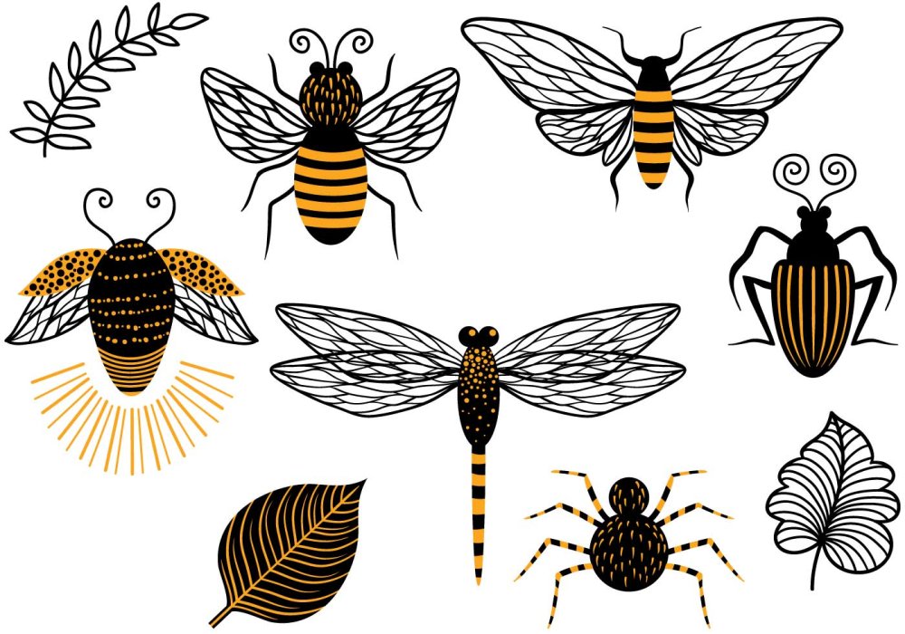 Полосатый Жук черно оранжевый