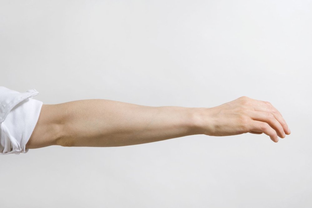 Рука человека