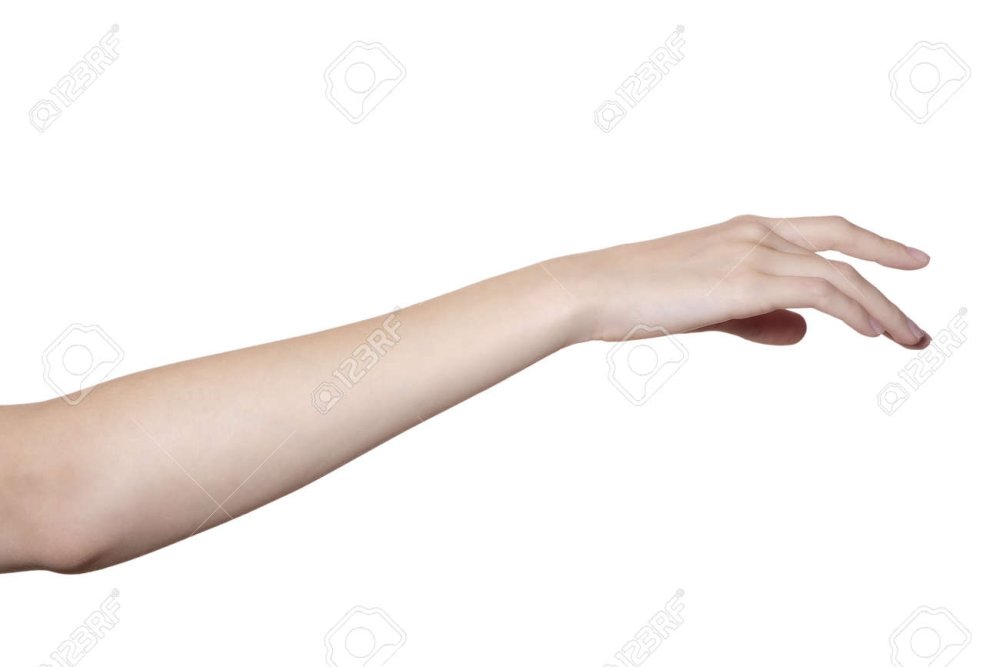 Женское запястье