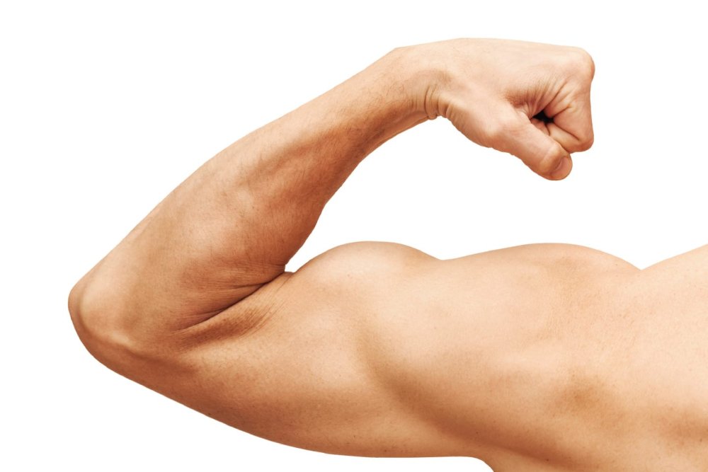 Рука до плеча