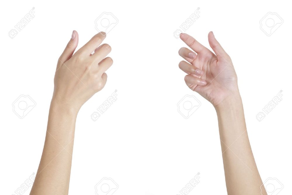 Женская рука на белом фоне