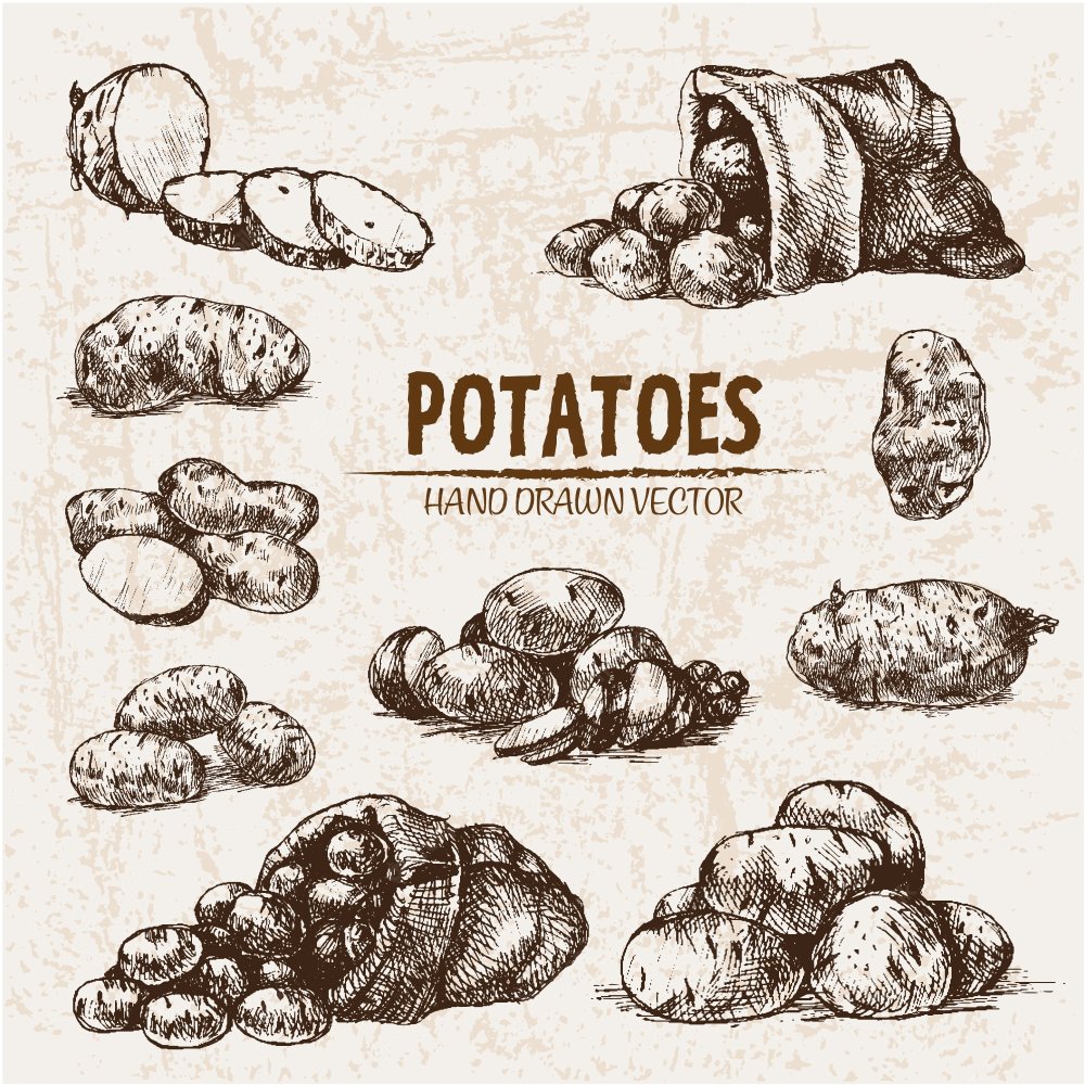 Фон зеленые листья вектор