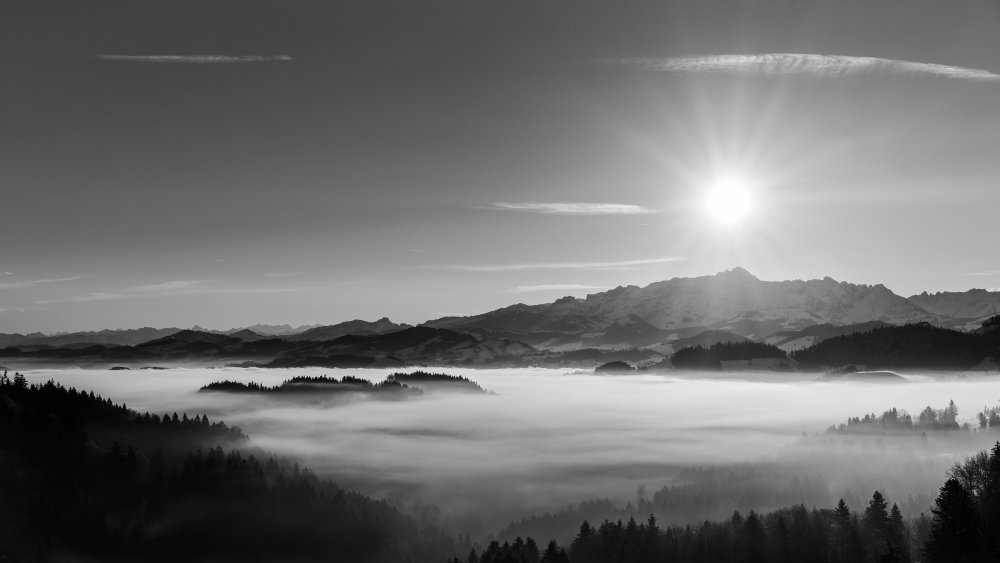 Серый пейзаж