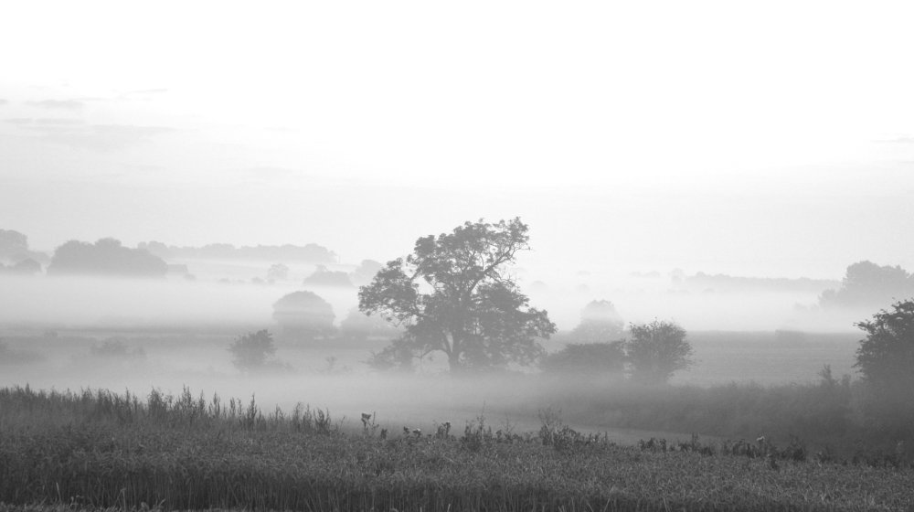 Серый туман