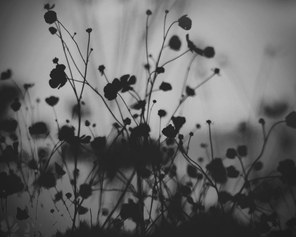 Эстетика чёрного цвета