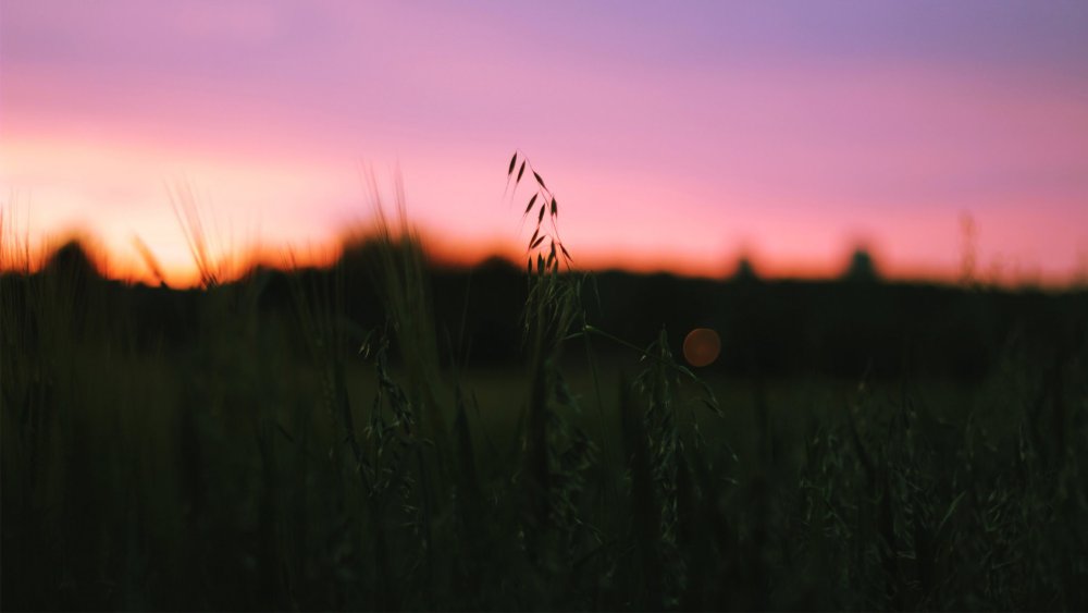 Закат в поле Эстетика