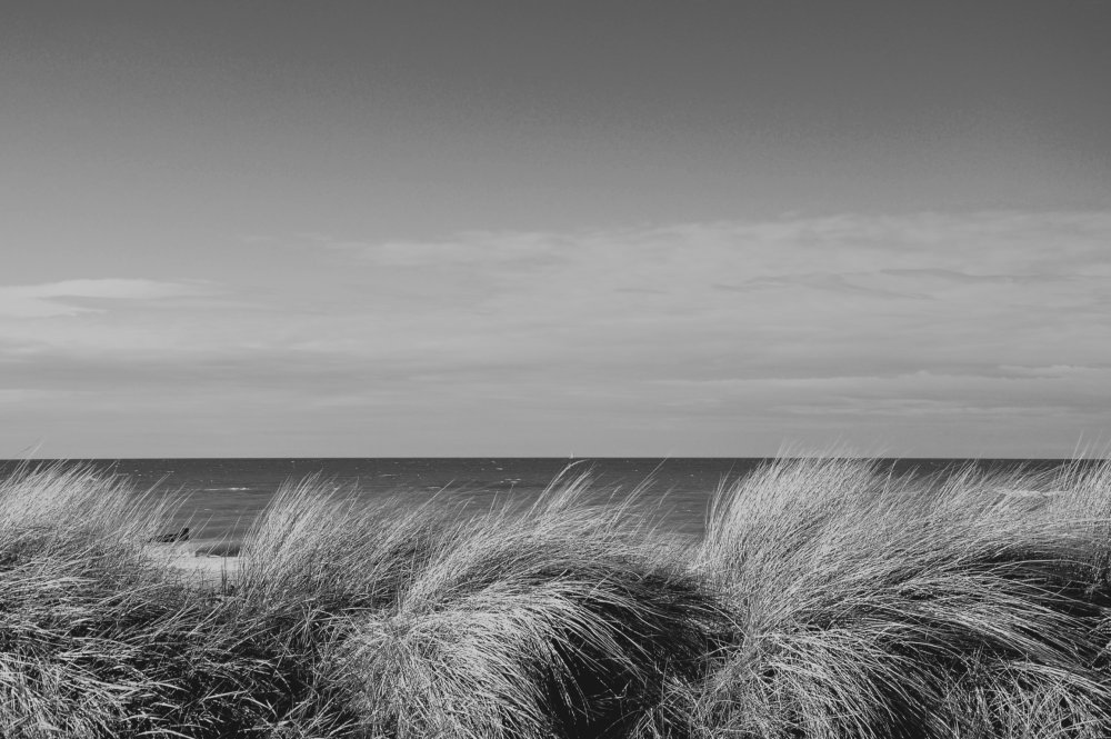 Море черно белое