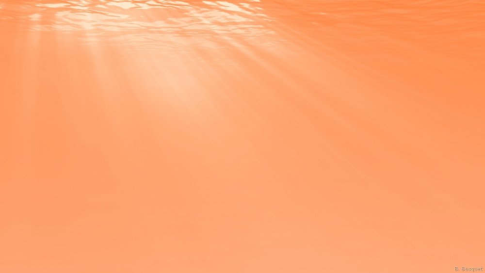 Бледно оранжевый цвет