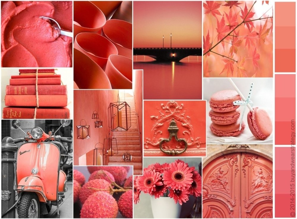 Розово-оранжевый цвет