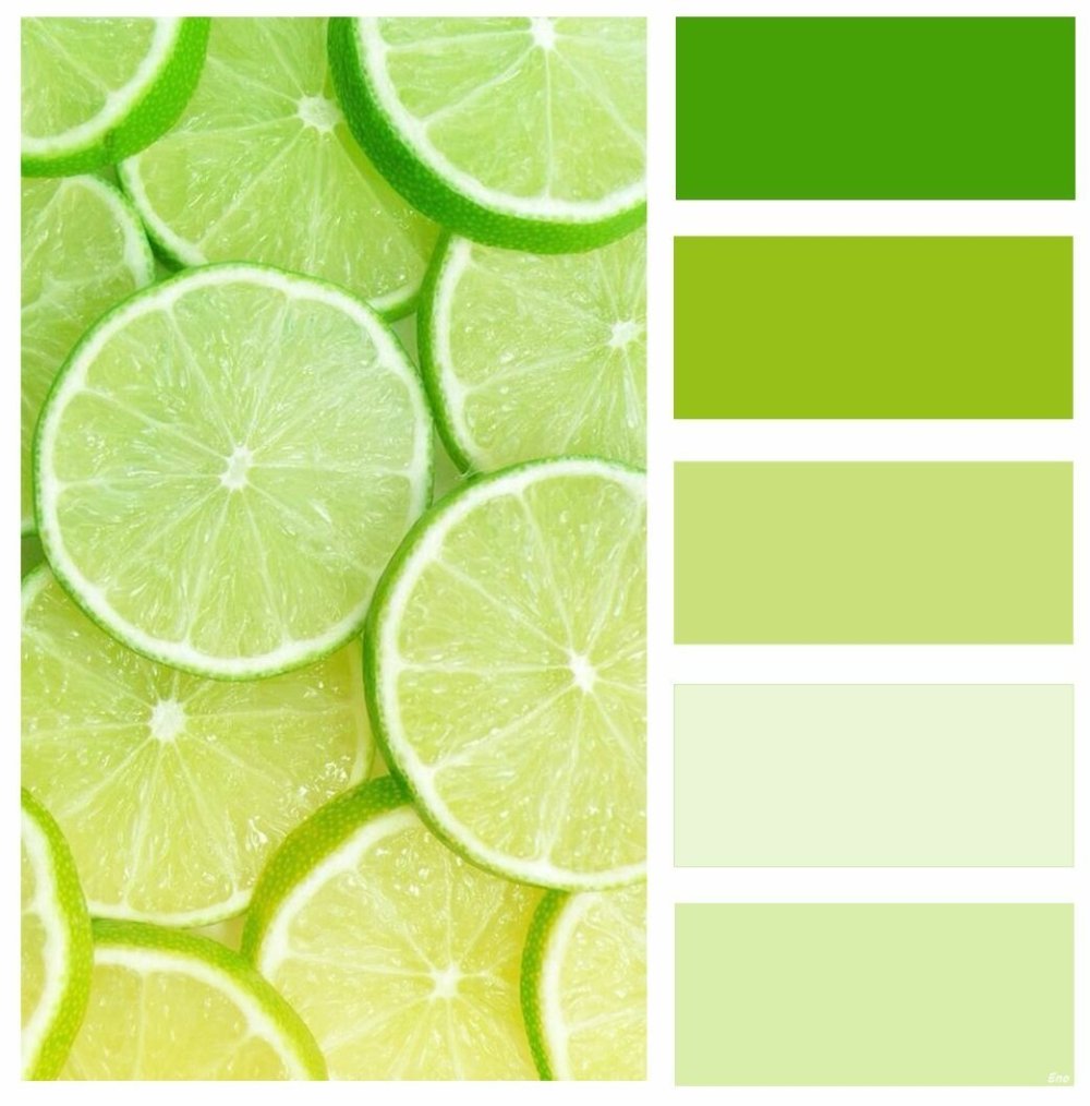 Цвет Лайма