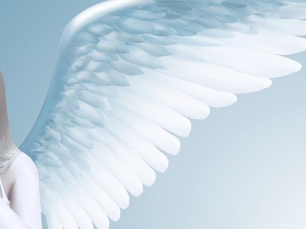 Крылья ангела