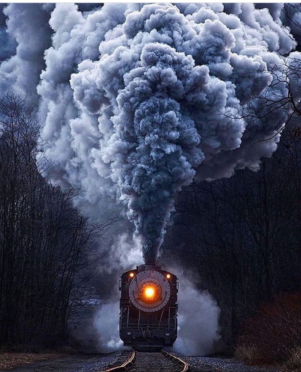 Поезд в зимнем лесу