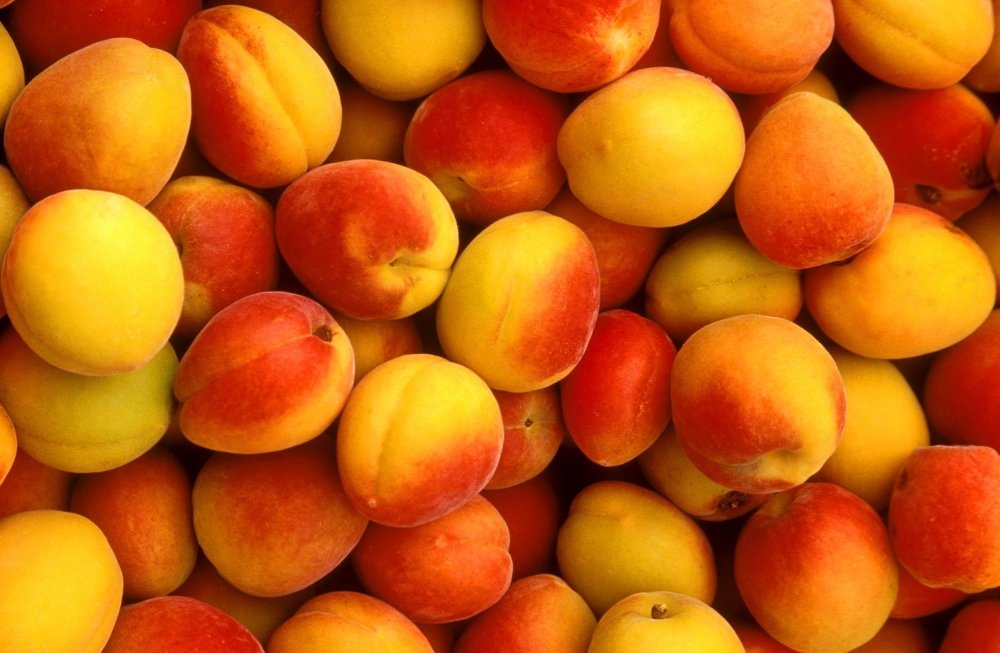 Персик нектарин абрикос