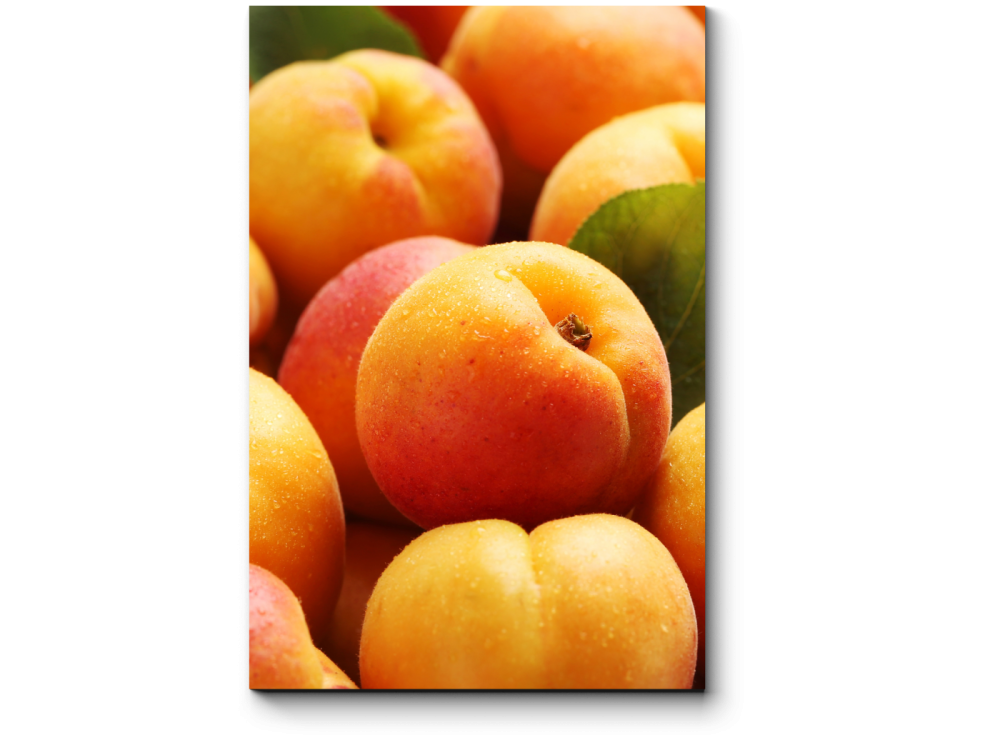 Сочный абрикос