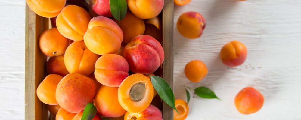 Персик картинка для детей