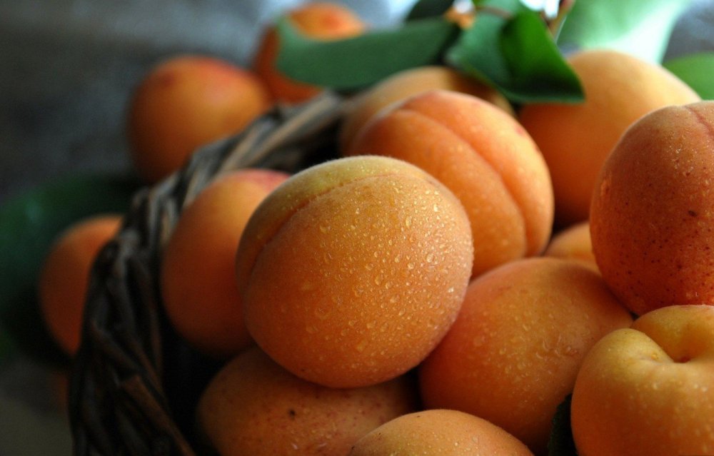 Персик Коллинз